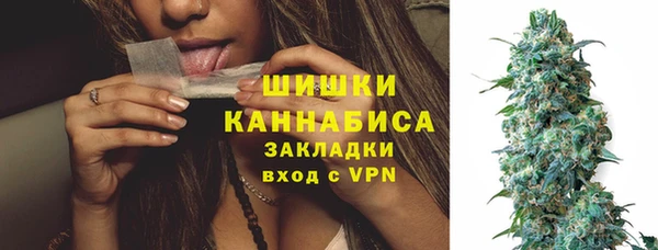 ГАЛЛЮЦИНОГЕННЫЕ ГРИБЫ Киреевск