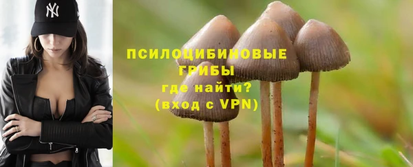 мескалин Кинешма