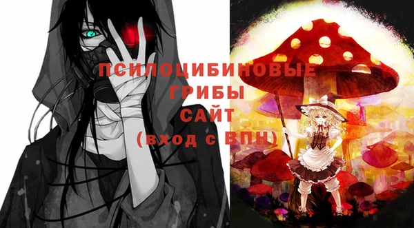 ГАЛЛЮЦИНОГЕННЫЕ ГРИБЫ Киреевск