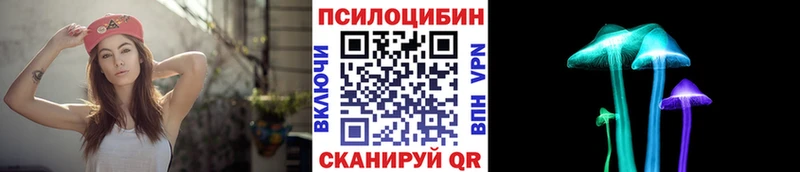 Купить где  Бородино  Псилоцибиновые грибы мицелий 
